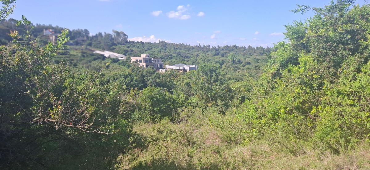 Land in Ngong - 1