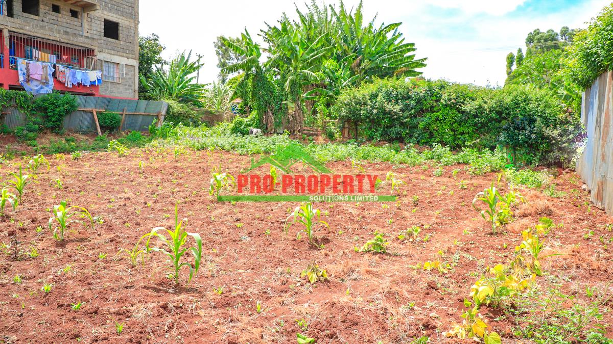 0.05 ha Commercial Land at Kinoo - 10