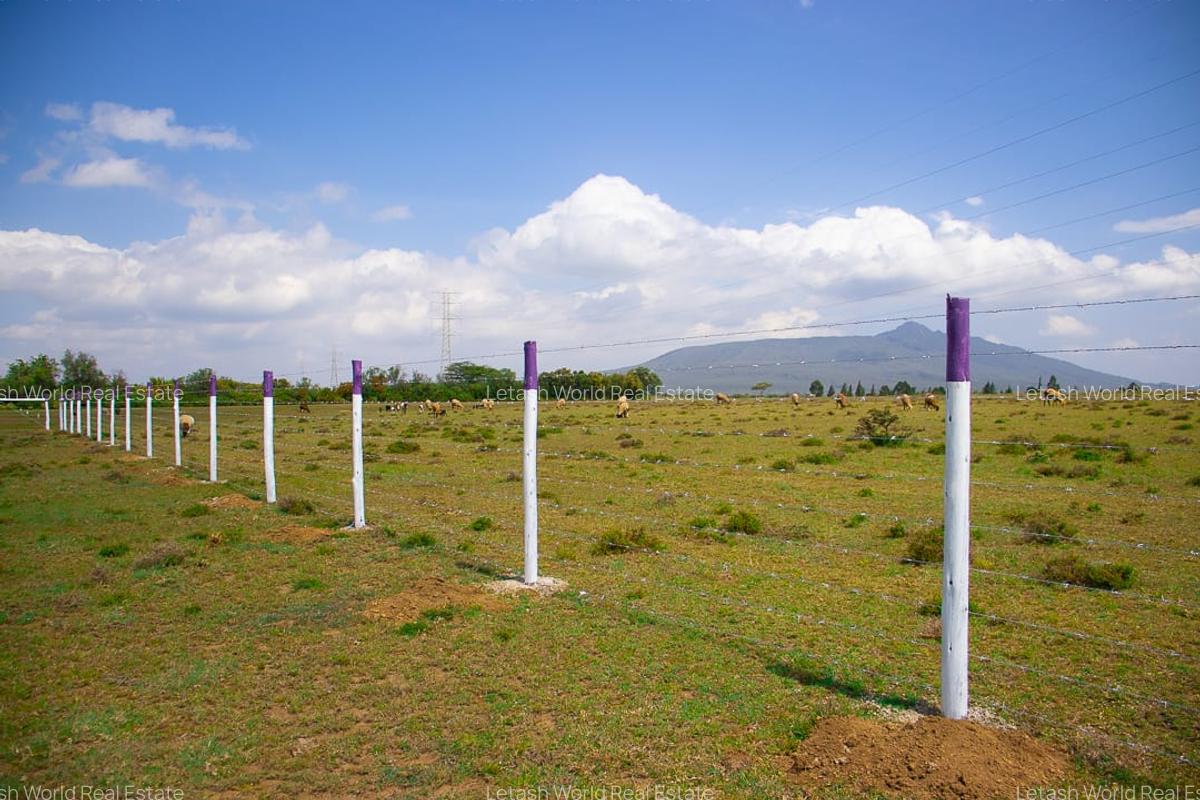 Land in Naivasha - 9