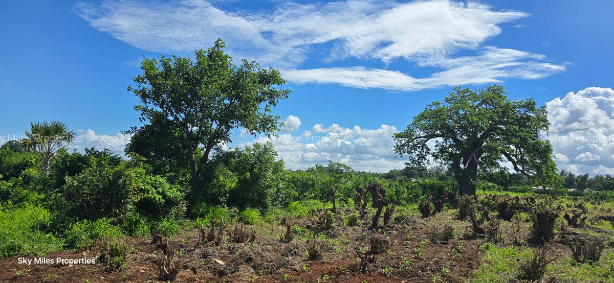 1 ac Land at Vipingo - 10