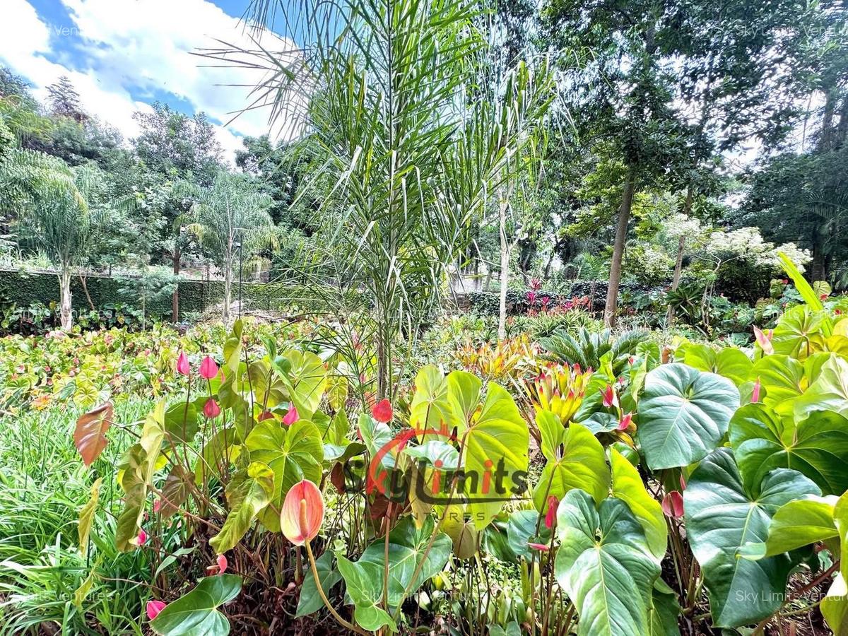 2 Bed House with En Suite in Muthaiga - 5