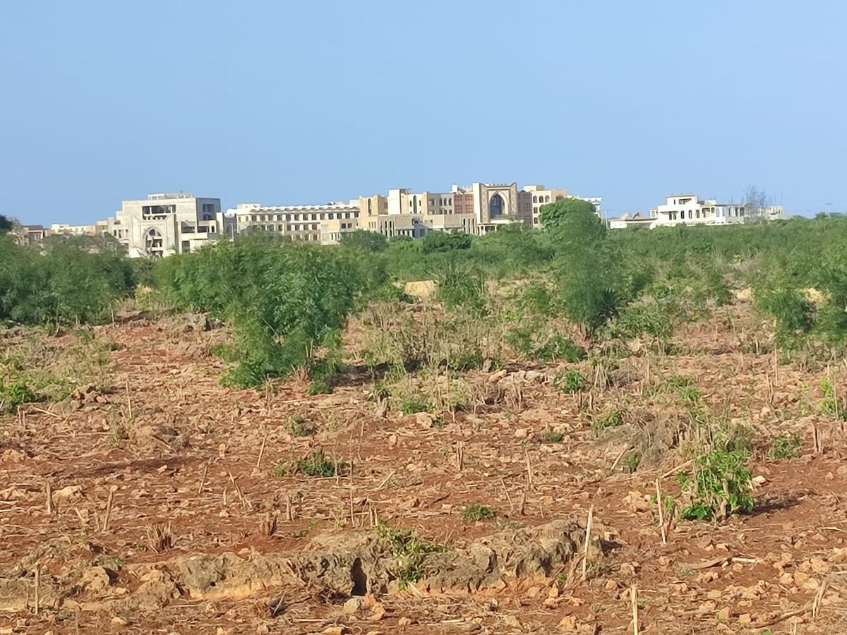 Land at Vipingo - 8