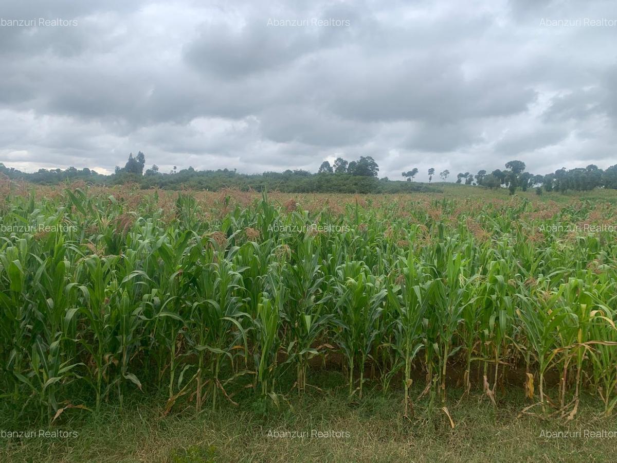 Land at Muhotetu - 9