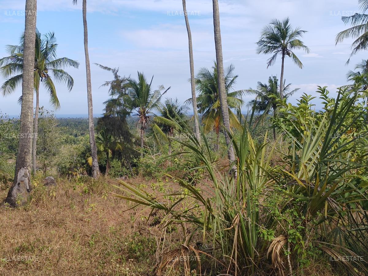 1,450 ac Land at Mabokoni - 3