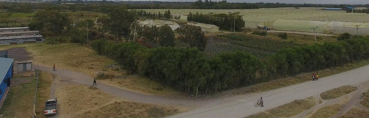 3.5 ac Land at Opposite Pj Dave - 4
