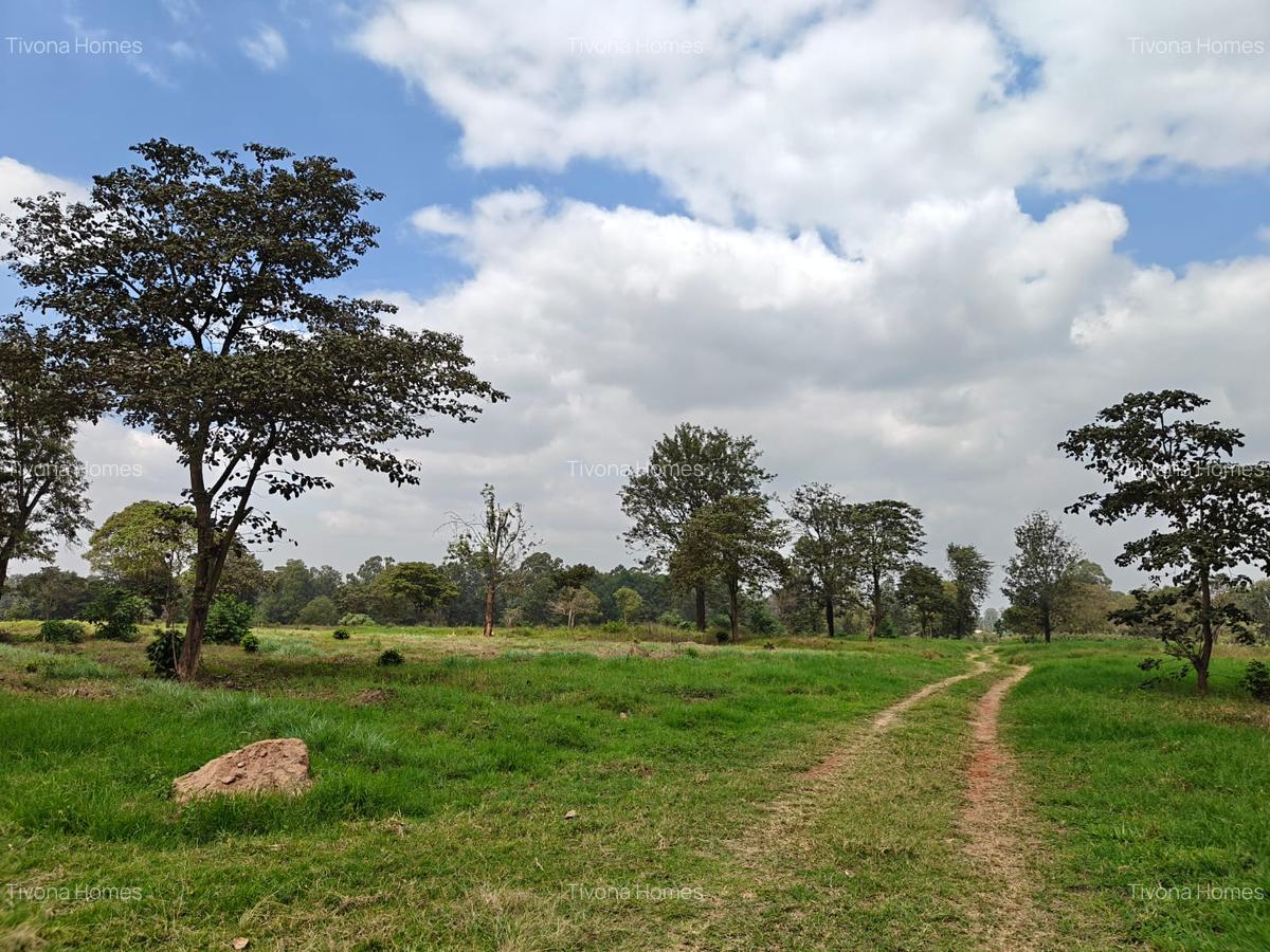 0.25 ac Commercial Land in Kiambu Road - 16