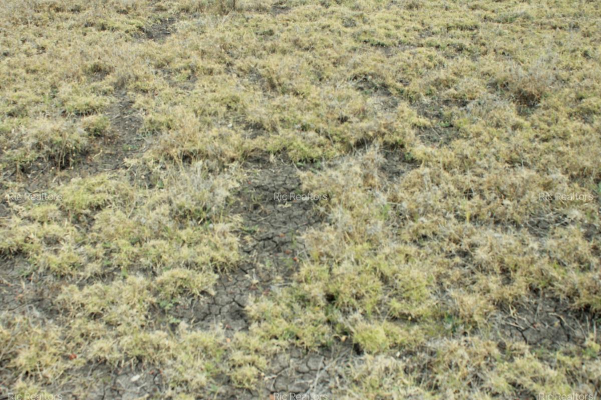 0.075 ha Land at Kitengela - Pine Breeze Estate - 9