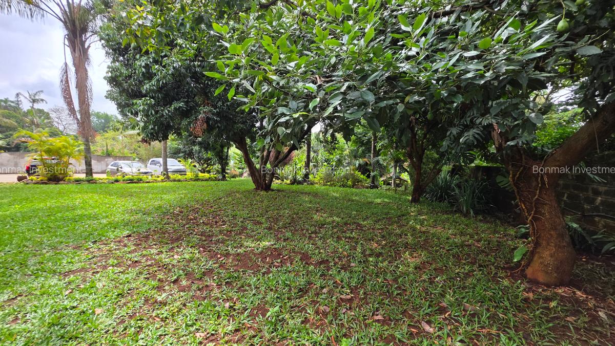 Commercial Property with Backup Generator at Off James Gichuru. - 3