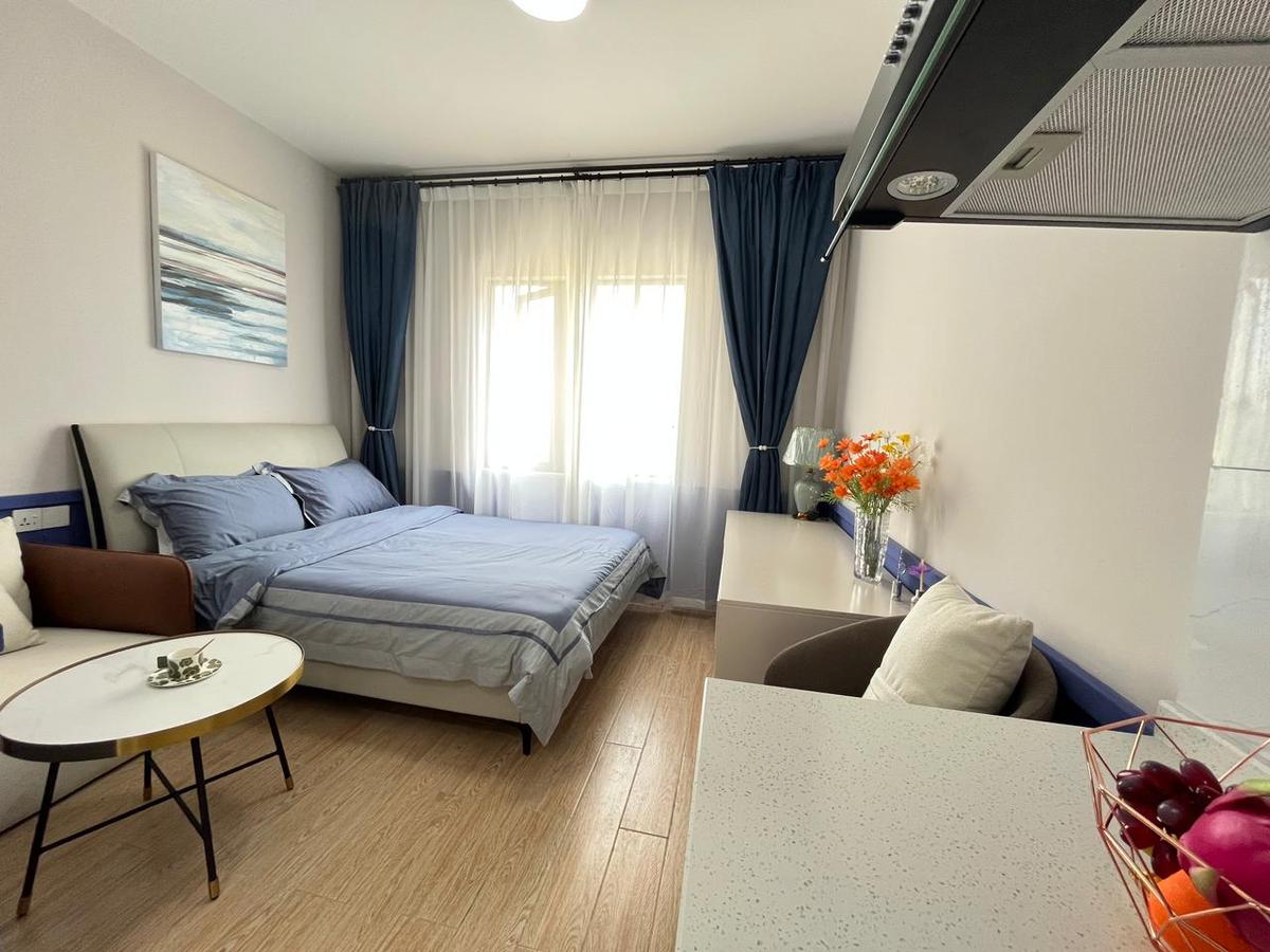 Studio Apartment with En Suite at Dagoretti - 2