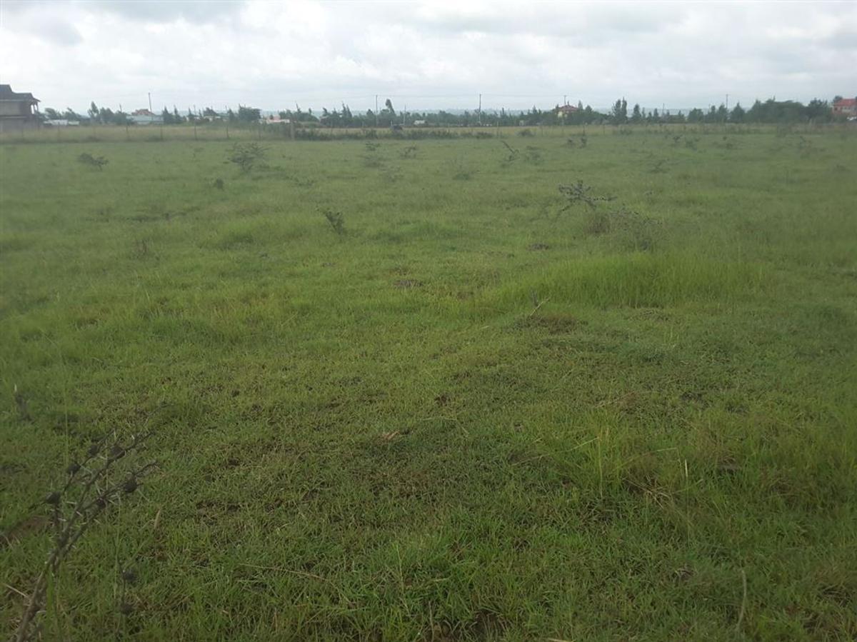 0.1 ac Residential Land in Ongata Rongai - 4