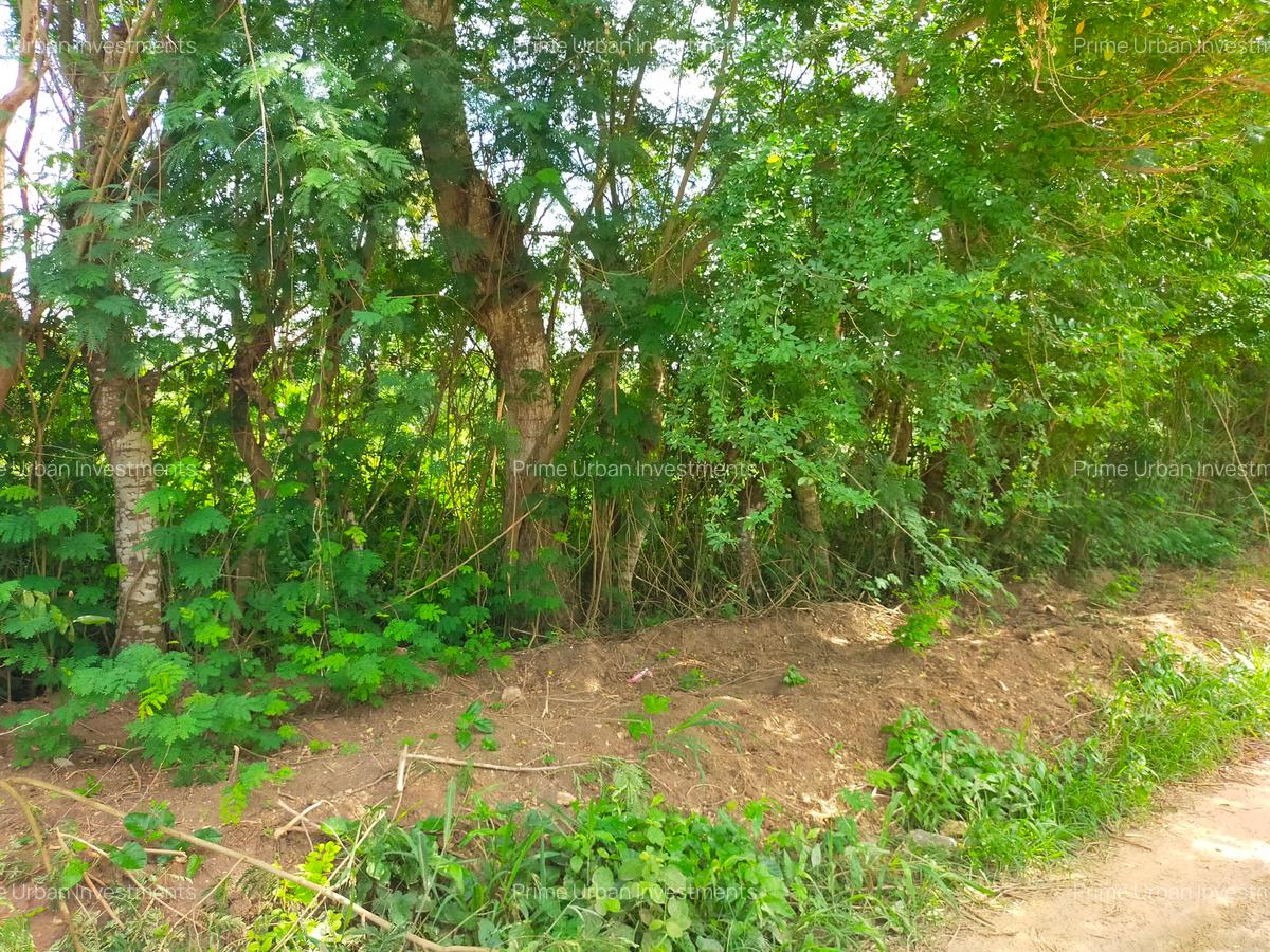 Land in Kikambala - 4