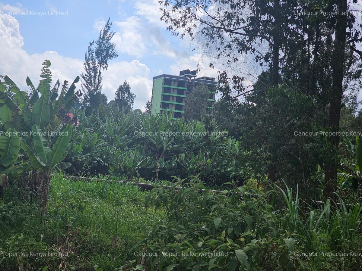 5,000 ft² Land at Muchatha Banana Kiambu - 2