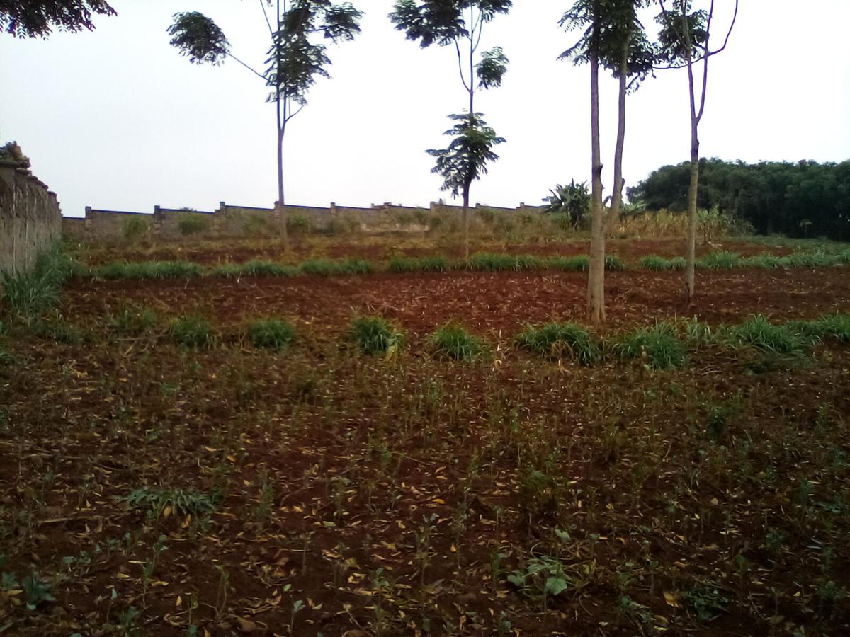 Land at Runda - 11