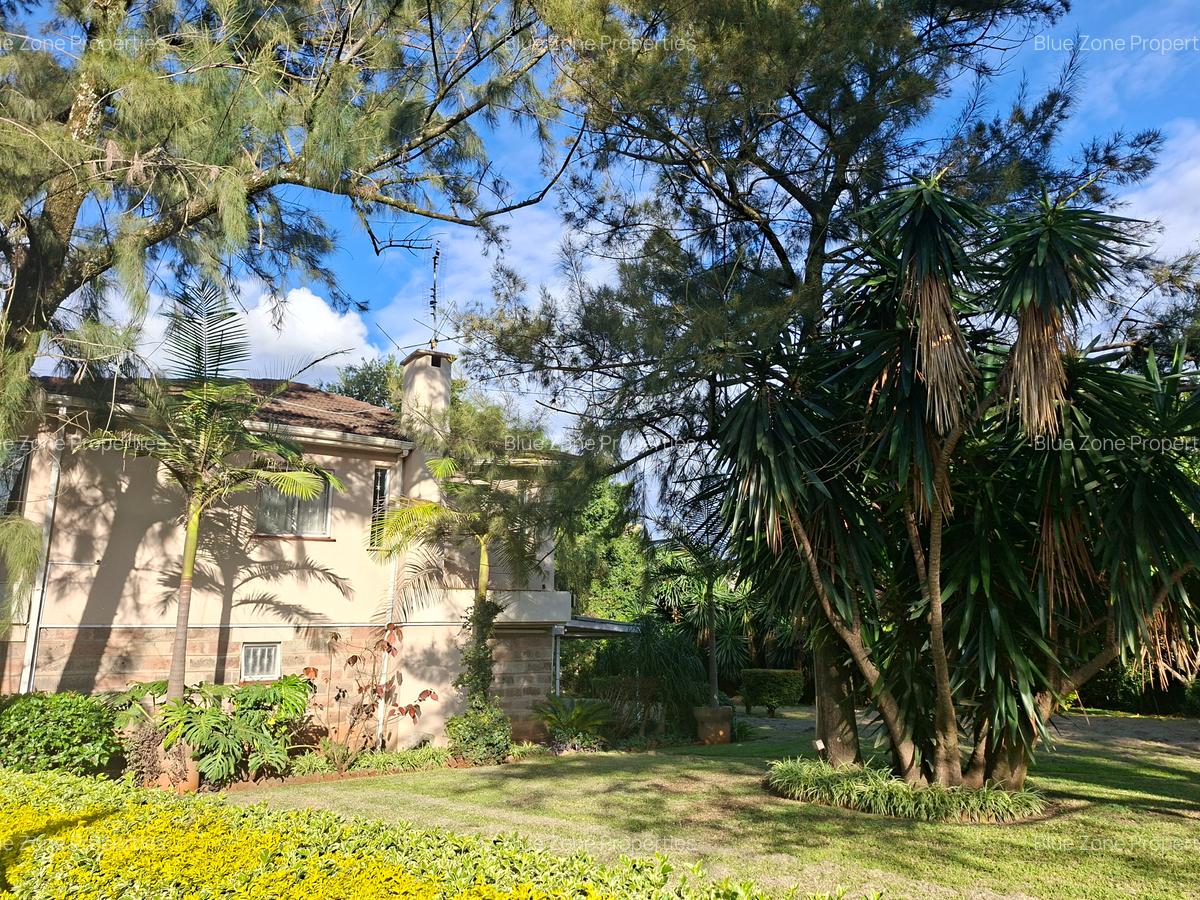 0.47 ft² Commercial Property with Backup Generator at Off Ngong Rd - 2