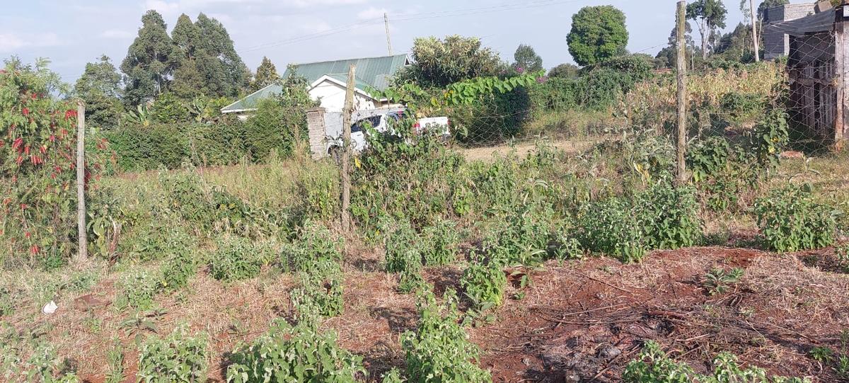 0.5 ac Residential Land at Near Gichuru High School - 3