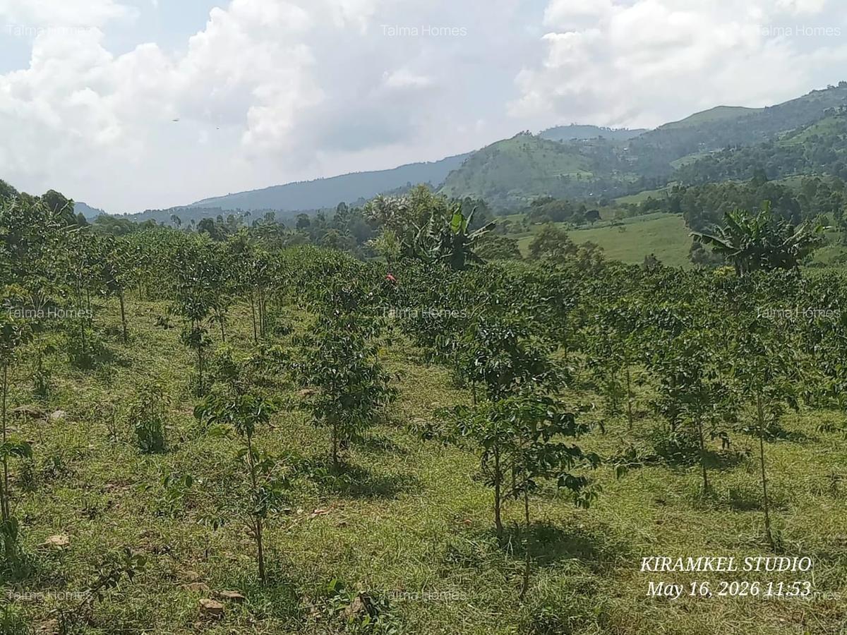 6.5 ac Land at Nandi Hills - 4