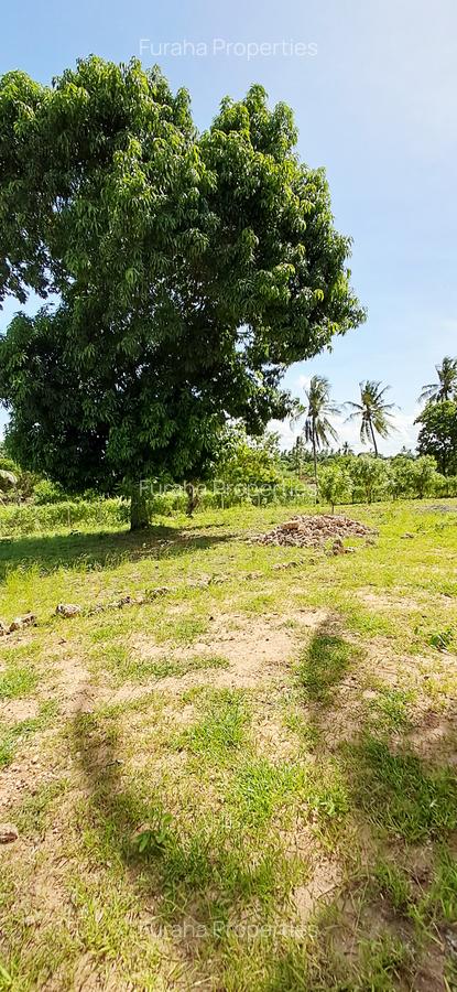 Land at Kilifi Tezo - 5
