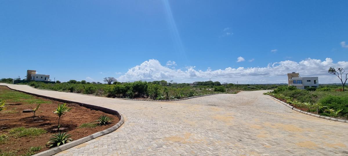 Land at Vipingo - 20