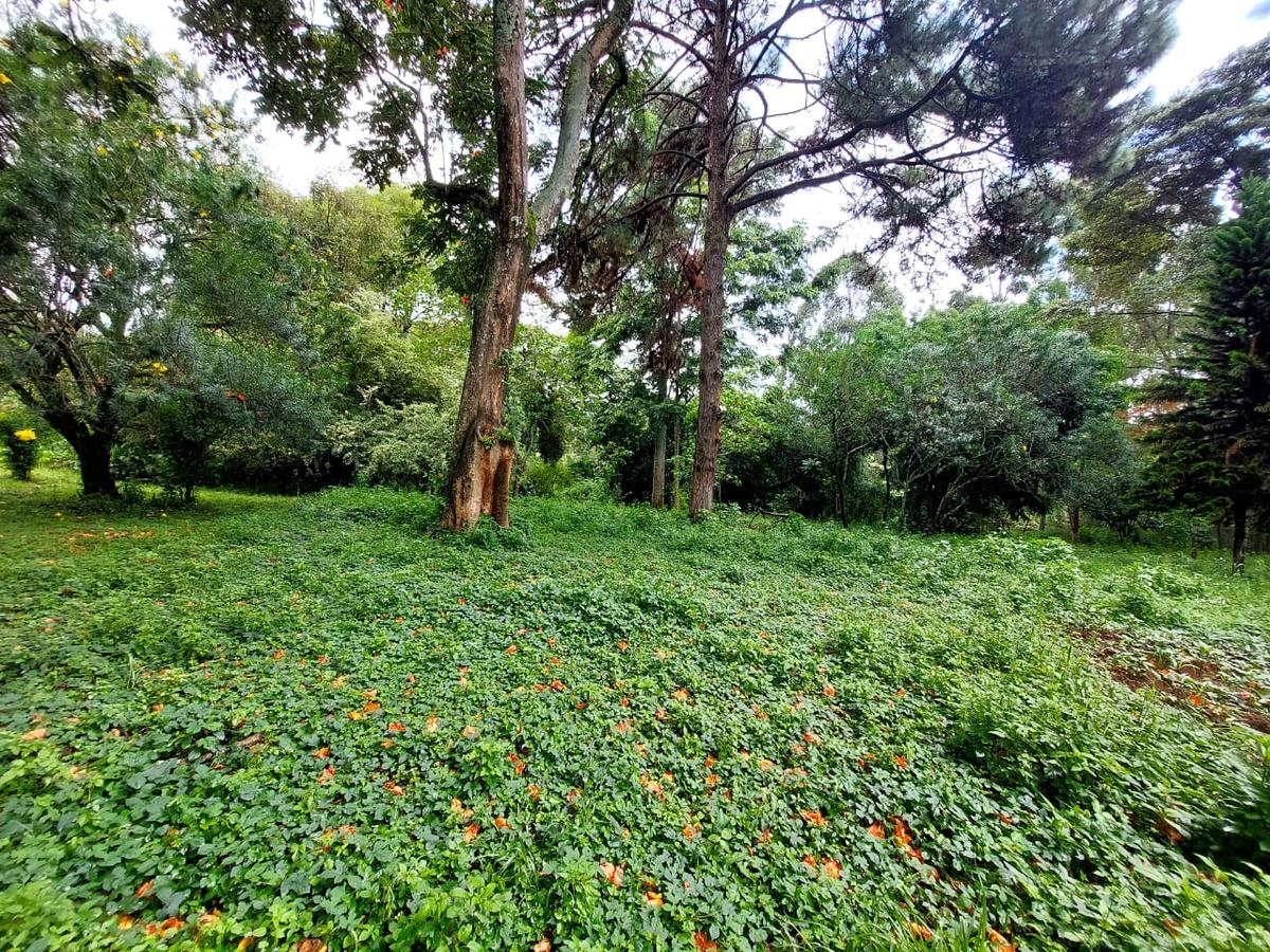 Residential Land at Lower Kabete Rd - 4