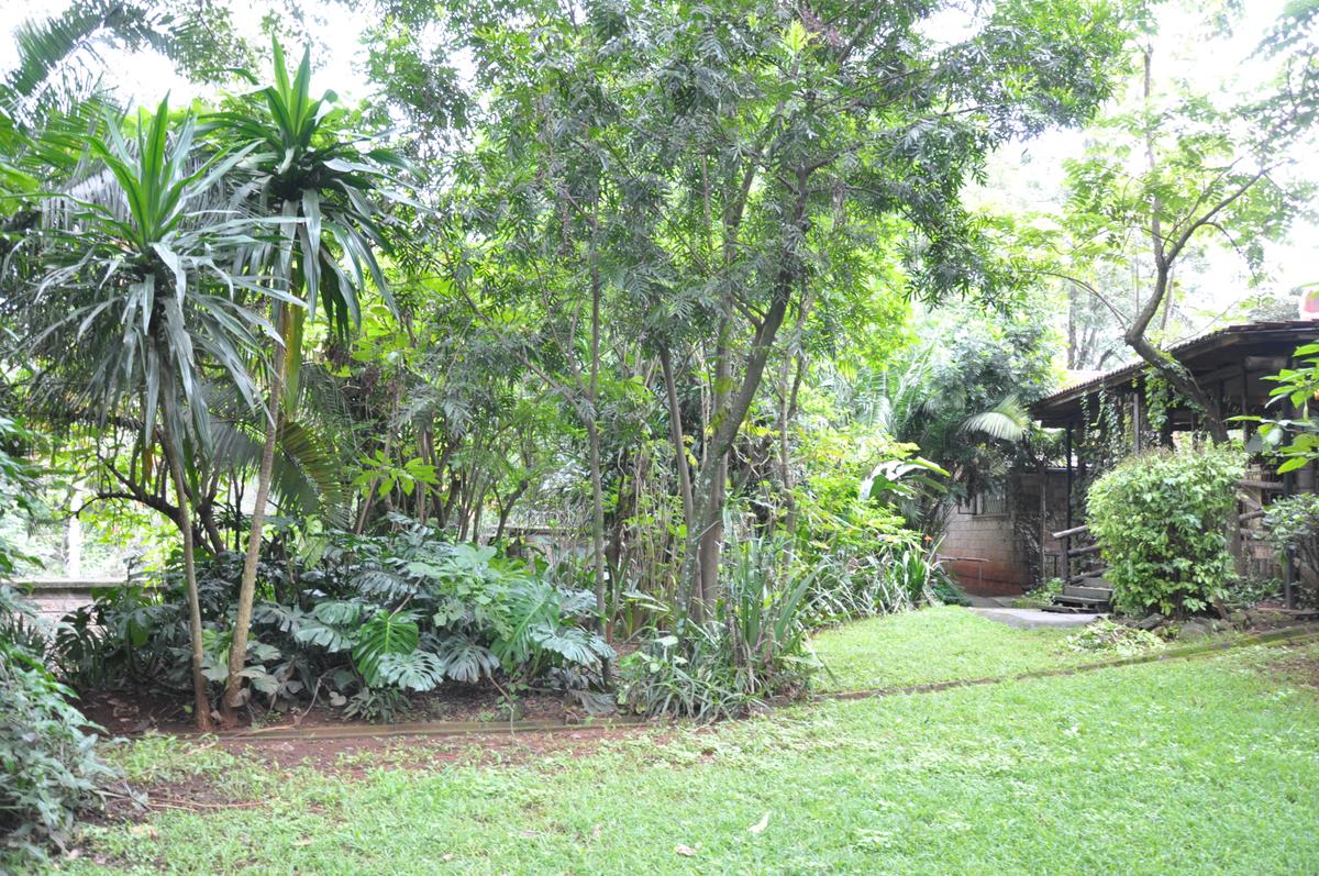 4 Bed House with En Suite at Muthaiga Road - 2 4 Bed House with En Suite at Muthaiga Road - 2