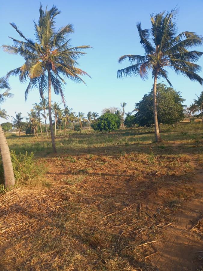 Land at Mavueni Kaloleni Road - 8