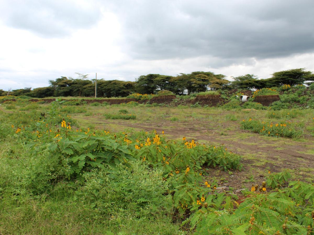 0.5 ac Residential Land in Langata - 4