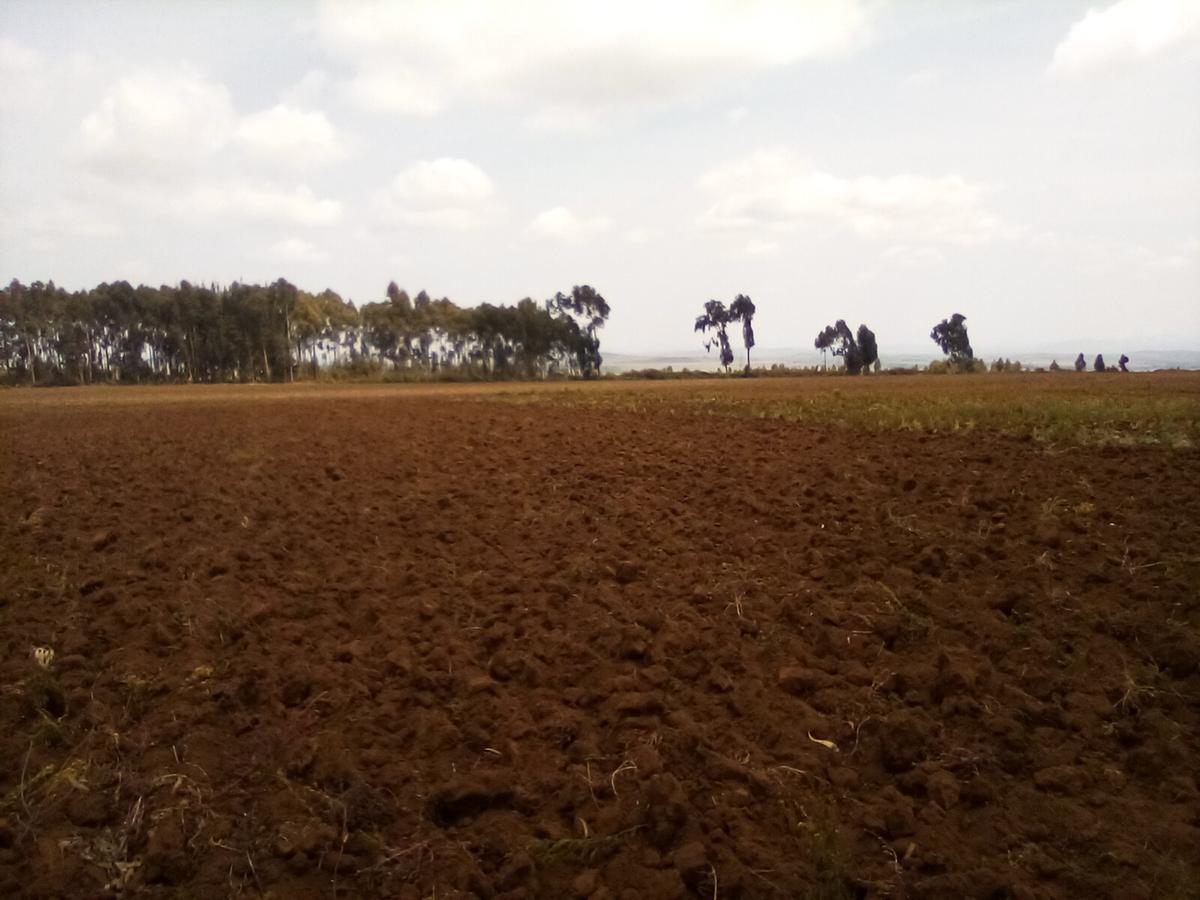 Land at Timau - 13