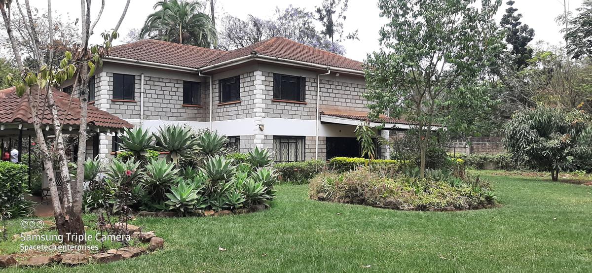 Commercial Property with Parking in Lavington - 1