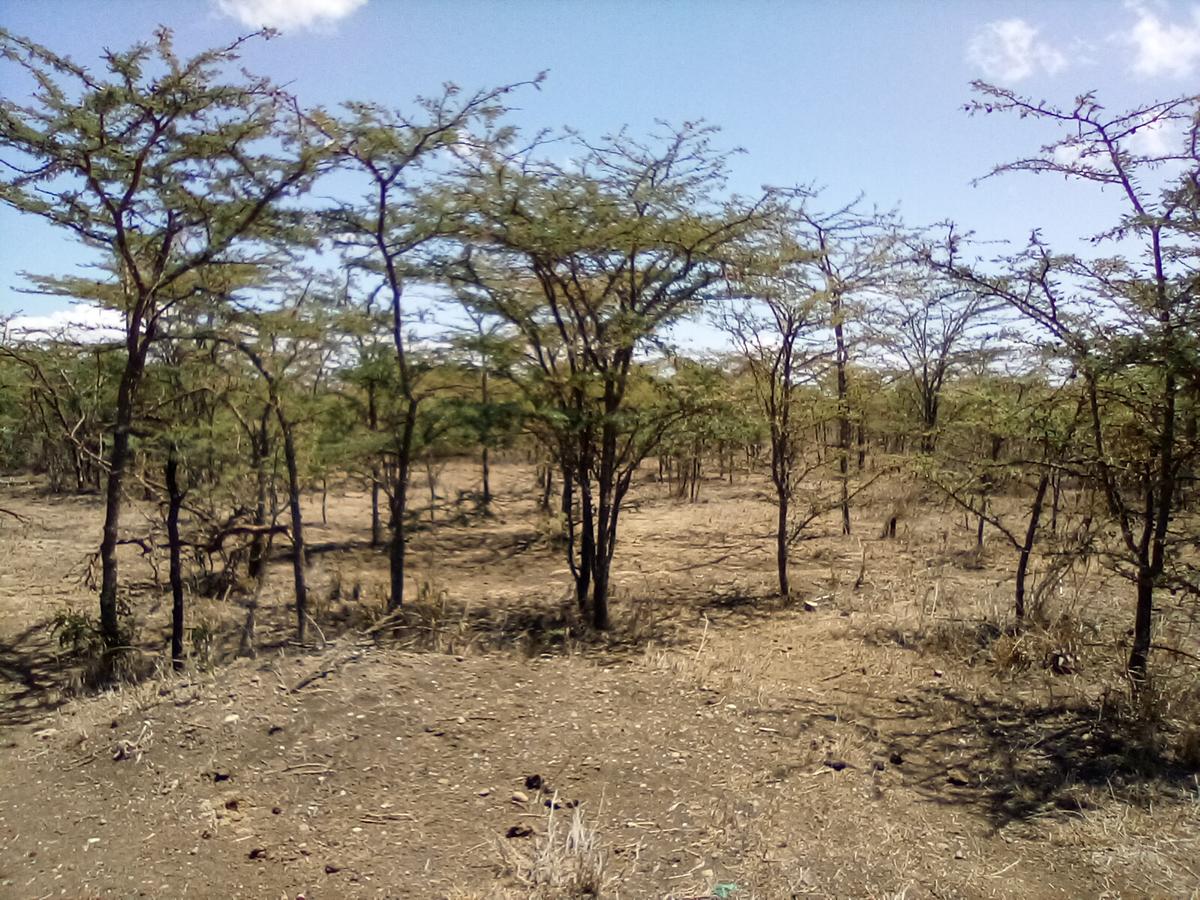 Land at Nanyuki - 1