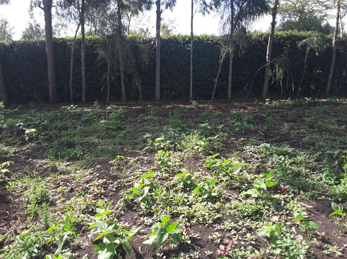 1,000 m² Residential Land in Ongata Rongai - 4