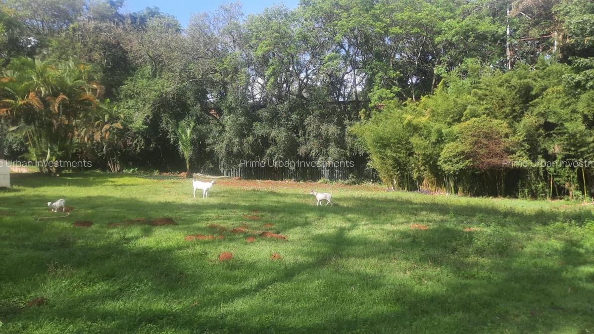 5 ac Land at Kabarnet Gardens - 11