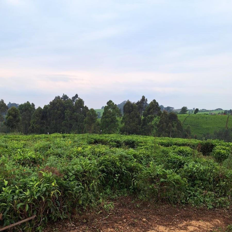 1 ac Residential Land at Riara Ridge - 5