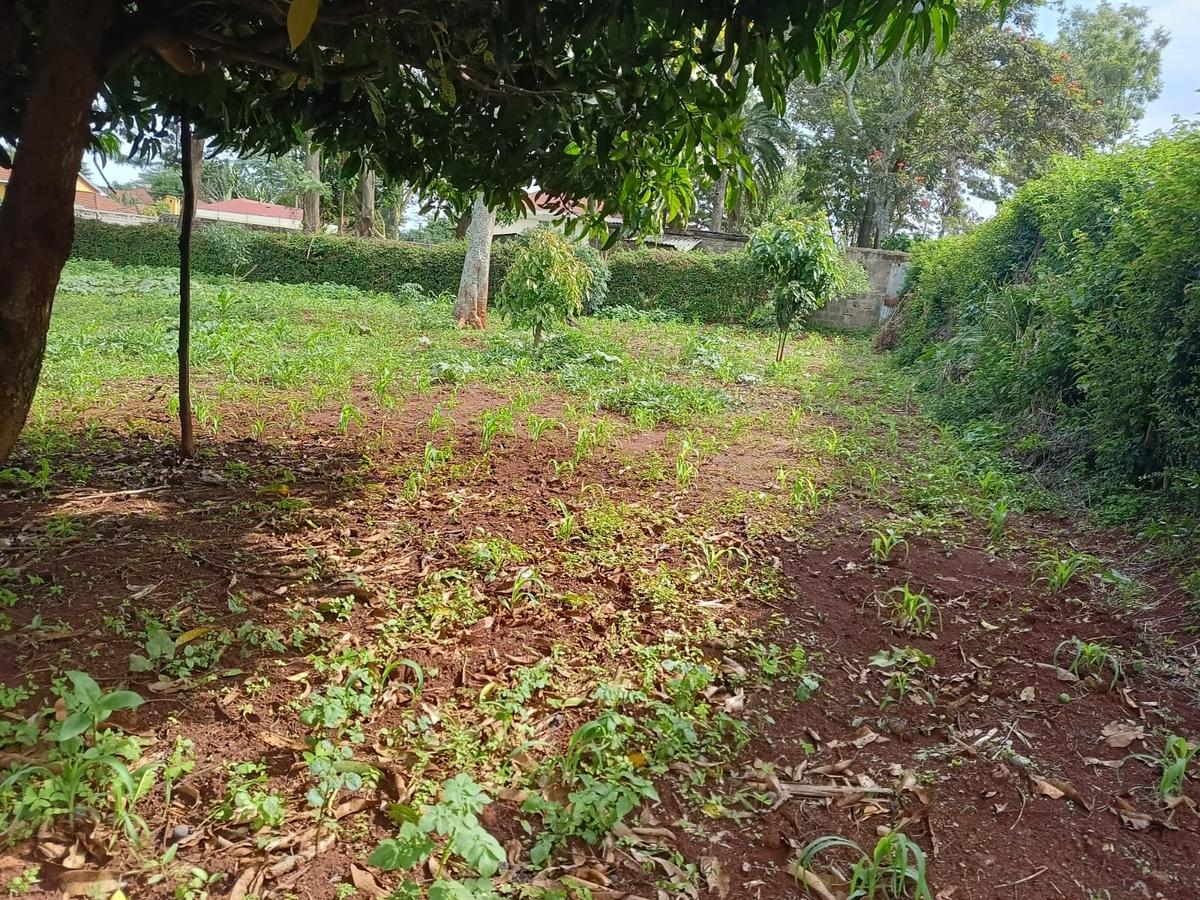 Residential Land at Runda - 5