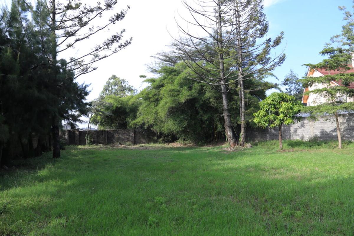 Residential Land in Lavington - 3