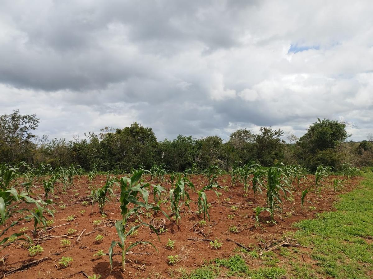 5,000 ft² Land at Malindi Muungano - 7