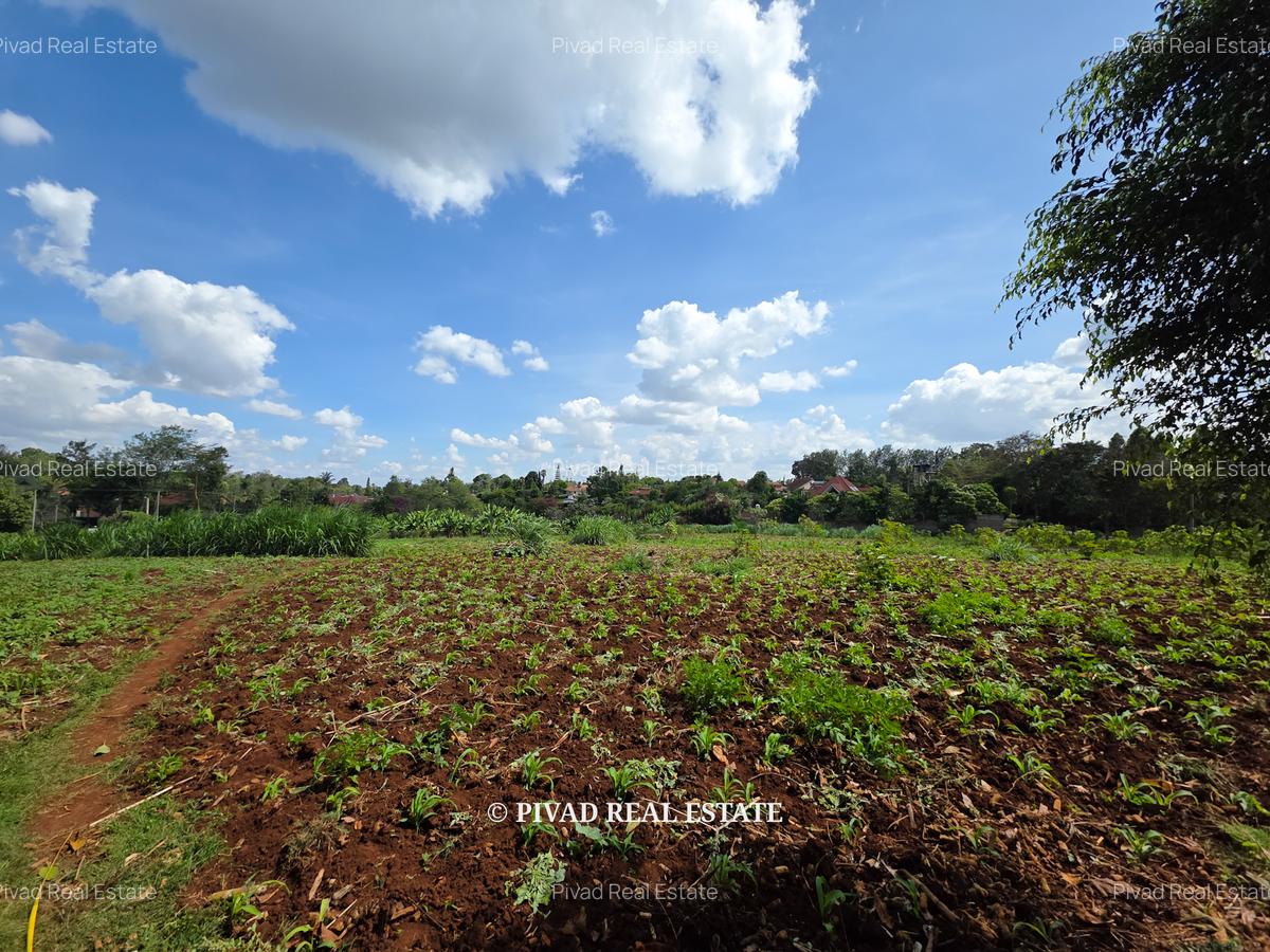 5.7 ac Land in Runda - 5