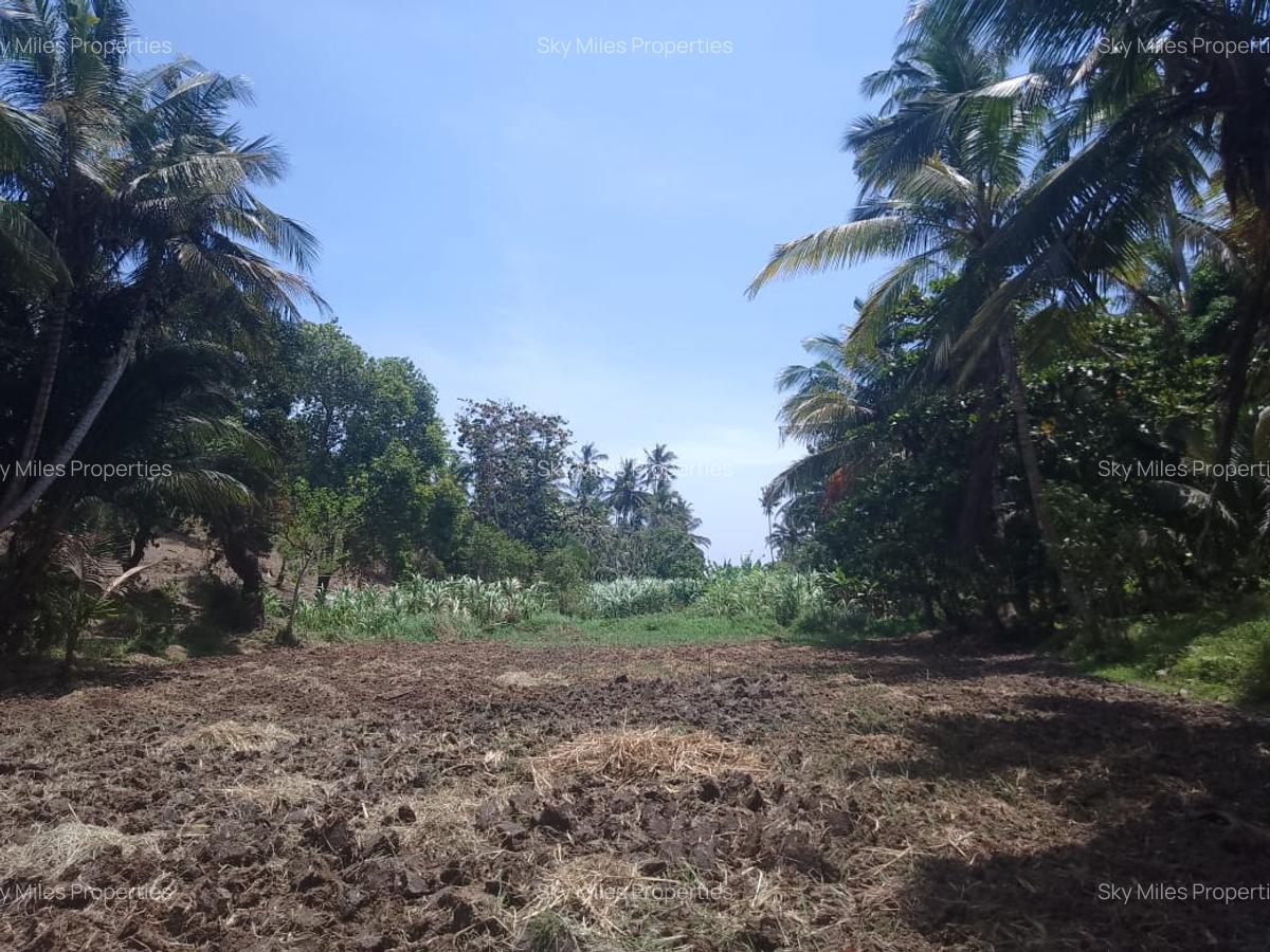 90 ac Land at Ridge - 3