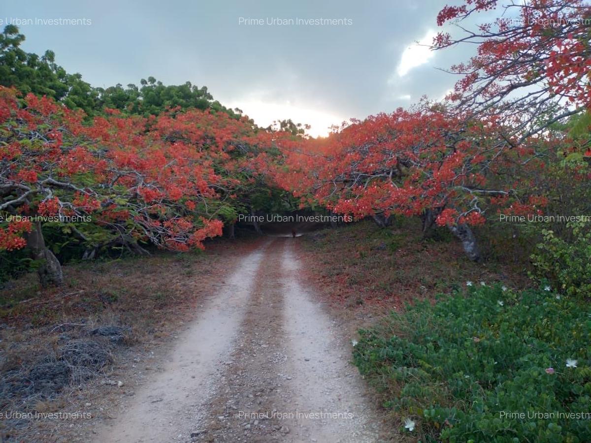 73.6 ac Land in Vipingo - 7