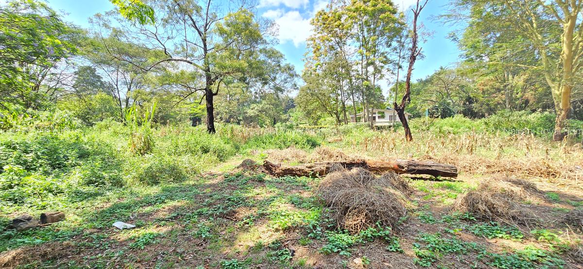 Residential Land at Spring Valley Lower Kabete - 3