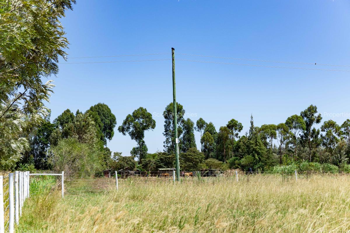 0.125 ac Residential Land in Nanyuki - 6