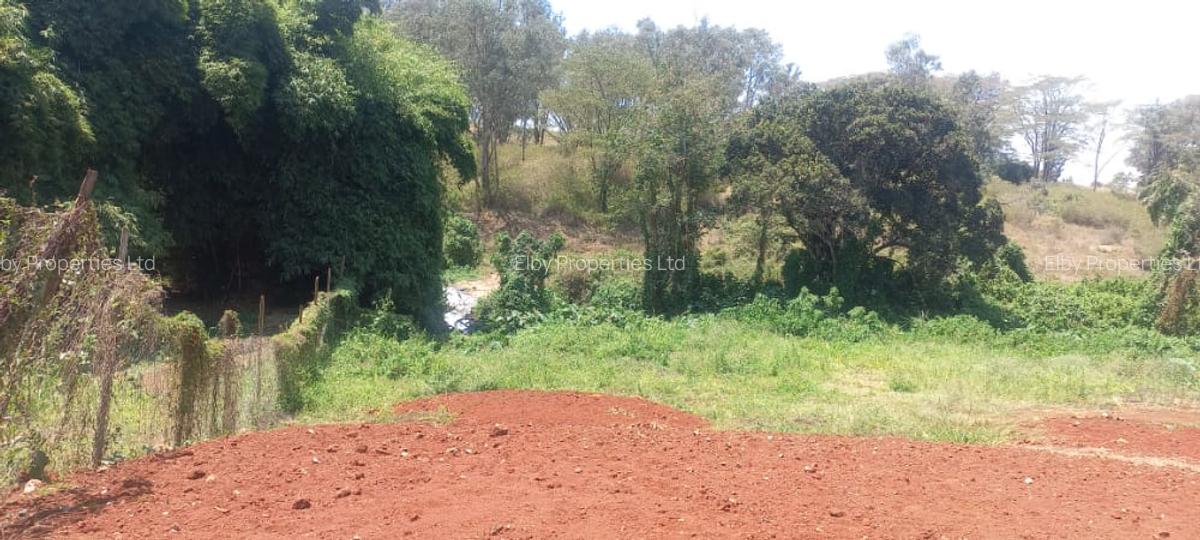 0.5 ac Residential Land at Muthithi - 14
