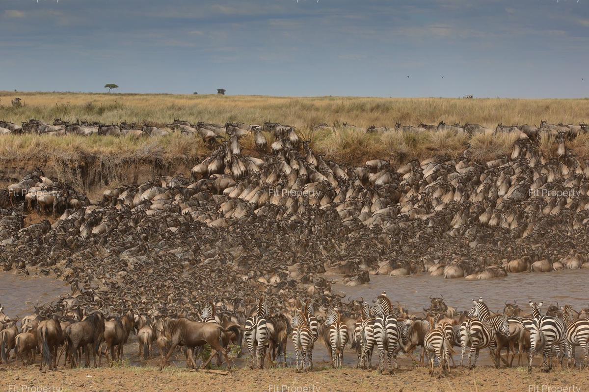 Commercial Property with Parking at Maasai Mara - 8