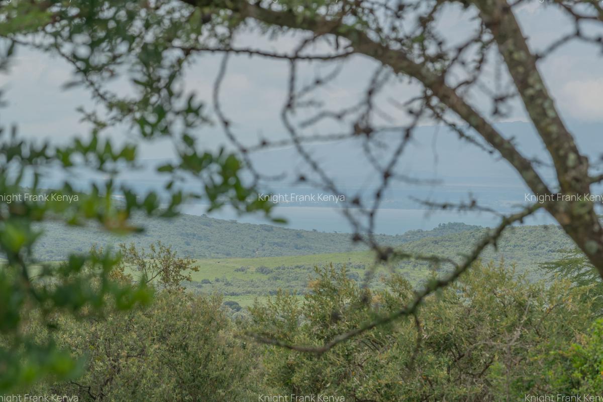 10 ac Land at Kisuri Hills - 6