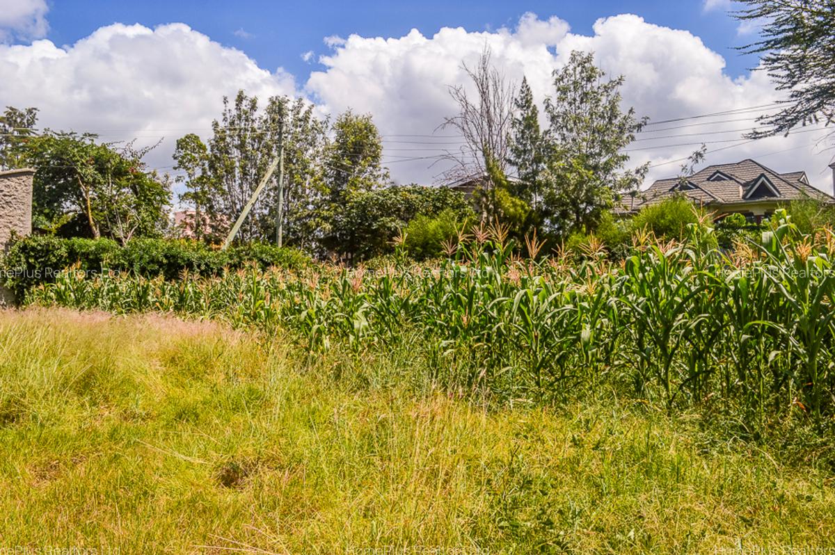 Residential Land at Ole Pasha Drive - 6