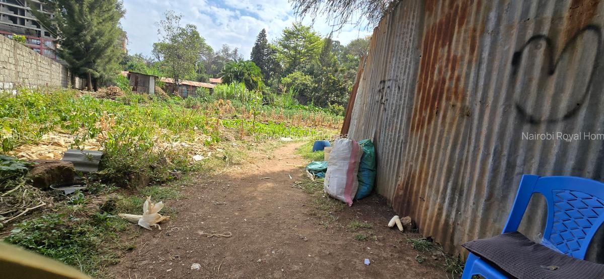 Residential Land at Hurlingham - 16