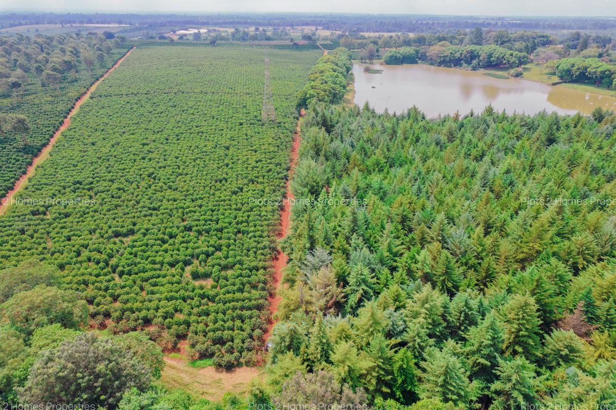 1,000 m² Residential Land at Zuri Springs Estate - 14