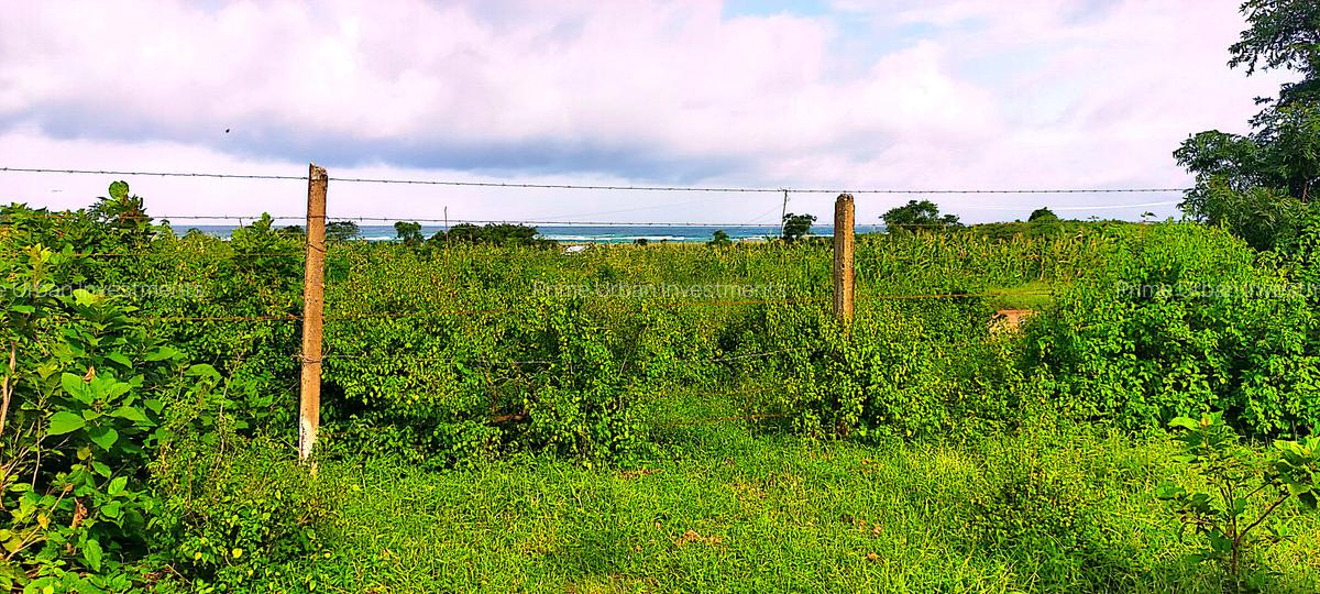 Land in Kikambala - 17