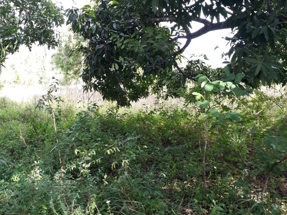 4,047 m² Commercial Land in Kilifi County - 7