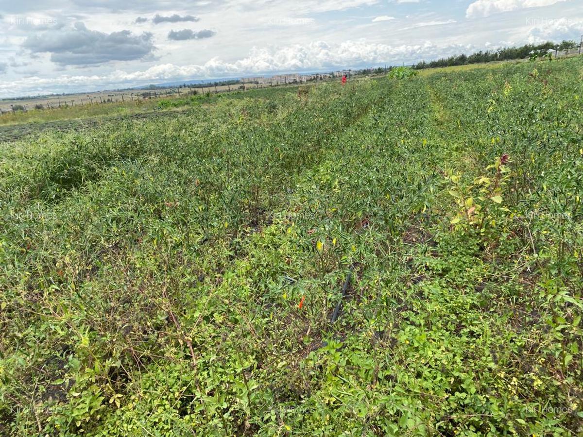 Land in Kitengela - 8