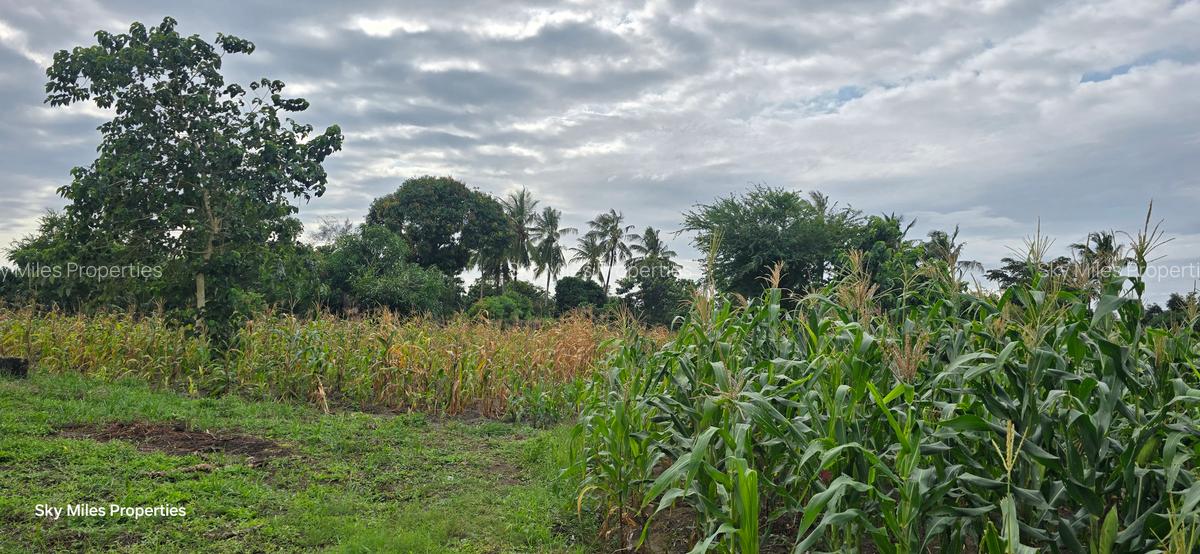 6 ac Land at Bomani - 9